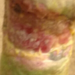 Helende sår på hesteben