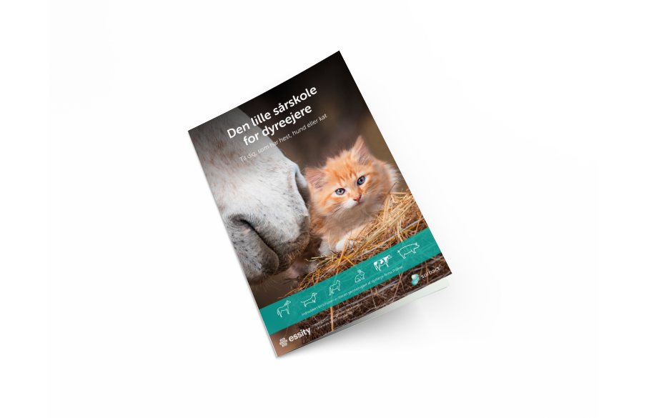 Forside til brochuren Den Lille Sårskole for Dyreejere med billede af en killing og en hest.